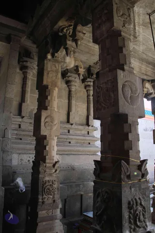 2-Swamiji_s Temple Visit_Photo_1035_IMG_9469_CMP_WM