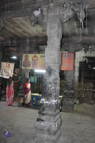 2-Swamiji_s Temple Visit_Photo_1039_IMG_9483_CMP_WM