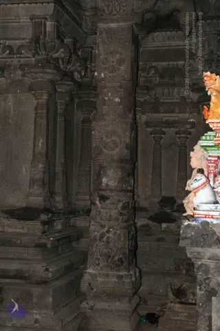 2-Swamiji_s Temple Visit_Photo_1050_IMG_9510_CMP_WM