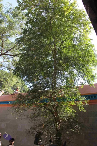 2-Swamiji_s Temple Visit_Photo_1055_IMG_9538_CMP_WM