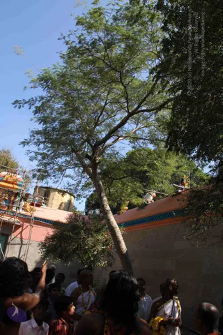 2-Swamiji_s Temple Visit_Photo_1056_IMG_9539_CMP_WM
