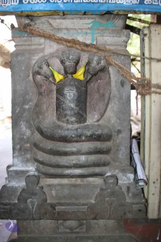 2-Swamiji_s Temple Visit_Photo_1059_IMG_9543_CMP_WM
