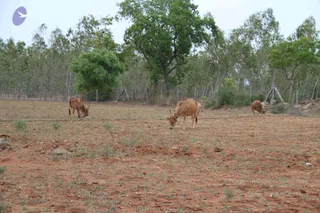 June 18 2012