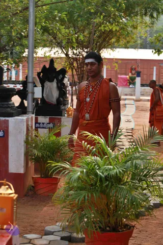 1-Morning-Satsang1_Photo_1008_IMG_0715_CMP_WM