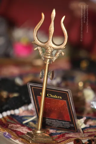 Satsang_Photo_1009_IMG_3384_CMP_WM