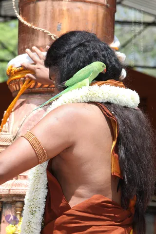 3-Dhwajarohanam_Photo_1148_IMG_5287_CMP_WM(1)