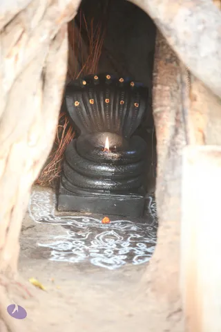 00--TempleTour-MM-DTA-SarvaDarshan-6.45AM-9.20AM_Photo_1008_IMG_6512_CMP_WM