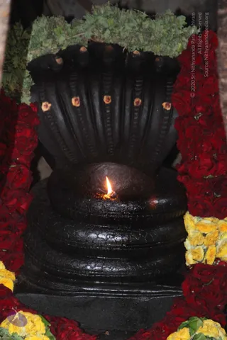 01-ADIKAILASA-TEMPLE_Photo_1018_IMG_5981_CMP_WM