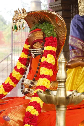 01-TEMPLE_Photo_1008__MG_6256_CMP_WM