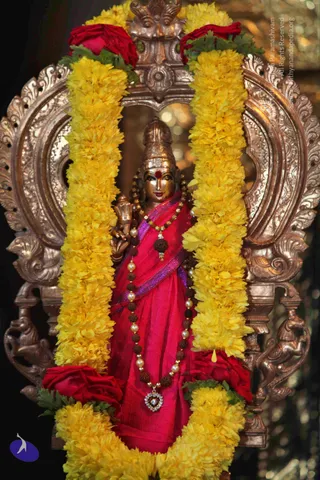 Temple_Photo_1006_IMG_0802_CMP_WM