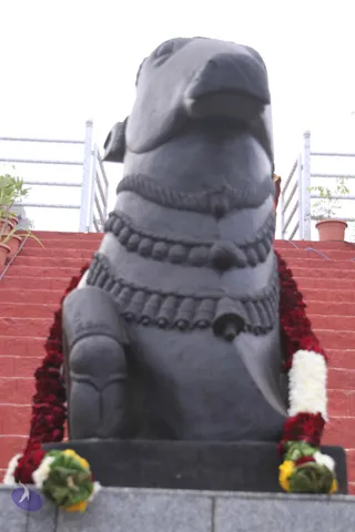 1-Rudrabhishekam_Photo_1017_IMG_7537_CMP_WM