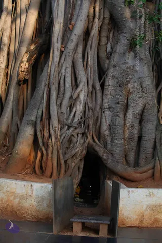 20130525_Photo_1009_IMG_9772_CMP_WM