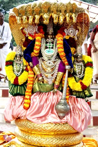 12-Temple-Brahmotsav_Photo_1013_IMG_2059_CMP_WM