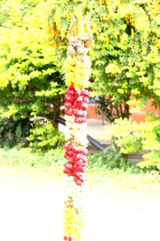 8-Temple_Photo_1011_IMG_0052_CMP_WM