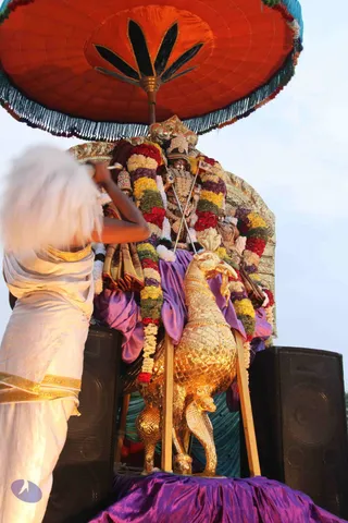 3-Subramania-Procession-Panguni-Uthiram_Photo_1006_IMG_0079_CMP_WM