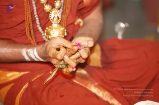 _MG_6826_CMP_WM