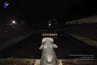 _MG_9655_CMP_WM