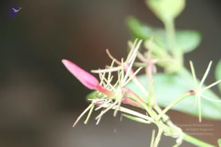 20140716_Photo_1000_1ReRge2tVztFpeG1Ki_JaueMYPcJ4uKSq