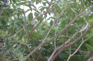 20140716_Photo_1001_1ReRge2tVztFpeG1Ki_JaueMYPcJ4uKSq