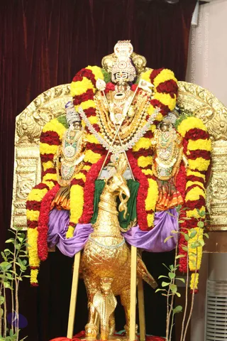 01-MORNING-SATSANG_Photo_1016_IMG_0571_CMP_WM