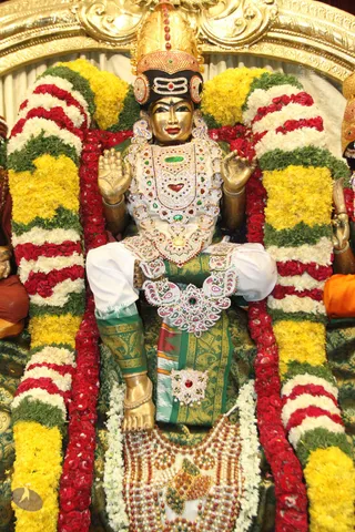 01-MEENAKSHI-TIRUKALYANAM_Photo_1014_IMG_5257_CMP_WM