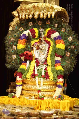 01-ARUNAGIRI-YOGISHWARA-STORY_Photo_1010_IMG_2073_CMP_WM
