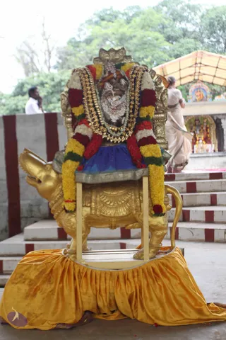 01-DHWAJAROHANAM_Photo_1034_IMG_3419_CMP_WM