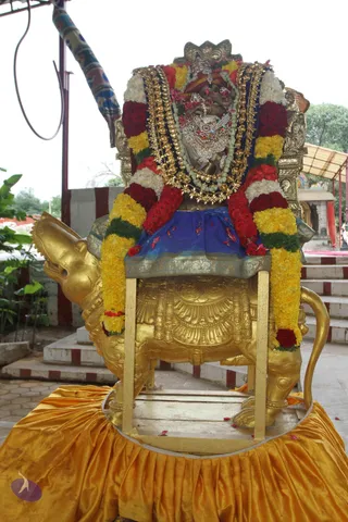 01-DHWAJAROHANAM_Photo_1082_IMG_3501_CMP_WM