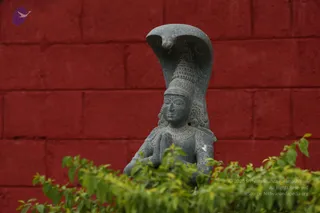 20161205_Photo_1035_IMGL6455_CMP_WM