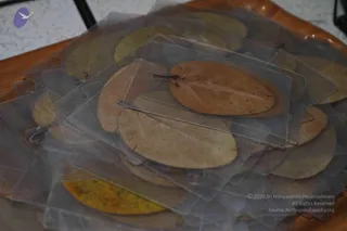IMG_0863_CMP_WM