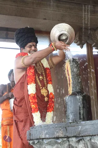 ARRIVAL-FROM-KUMBHA-MELA_Photo_1018_IMG_1341_CMP_WM