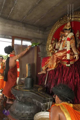 ARRIVAL-FROM-KUMBHA-MELA_Photo_1020_IMG_1345_CMP_WM