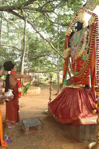 ARRIVAL-FROM-KUMBHA-MELA_Photo_1032_IMG_1429_CMP_WM