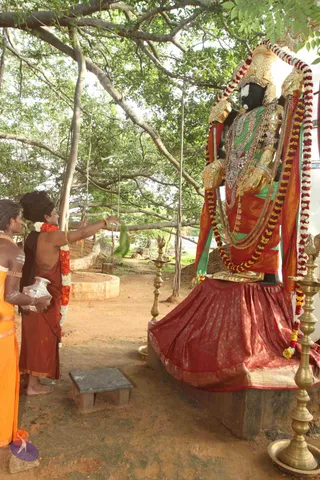 ARRIVAL-FROM-KUMBHA-MELA_Photo_1033_IMG_1430_CMP_WM