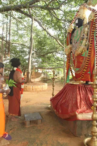 ARRIVAL-FROM-KUMBHA-MELA_Photo_1034_IMG_1431_CMP_WM