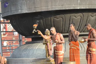 DSC_8668_CMP_WM