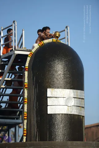Vaidya-Sarovar-Shiva-Linga-Abhisekam_Photo_1006_DSC_7023_CMP_WM