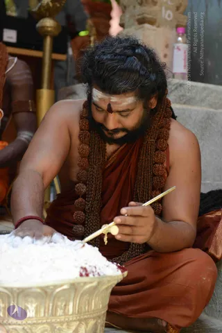 SADASHIVOHAM-ALCHEMY-PROCESS_Photo_1030_DSC_2238_CMP_WM