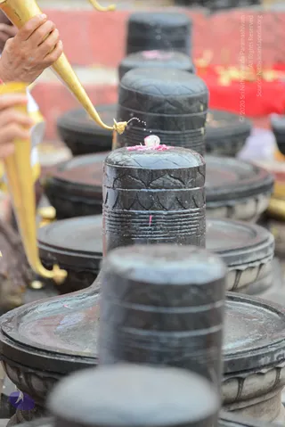 1-RUDRABHISHEKAM_Photo_1019_DSC_1596_CMP_WM