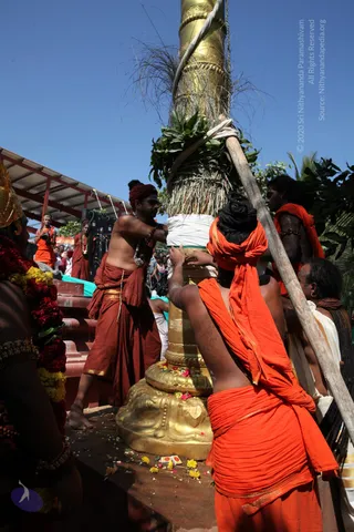 IMG_1025_CMP_WM