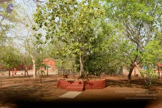 01-THIRUVANNAMALAI-ARRIVAL_Photo_1009_DSC_8174_CMP_WM