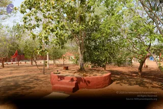 01-THIRUVANNAMALAI-ARRIVAL_Photo_1012_DSC_8179_CMP_WM