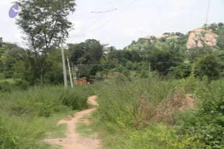 1-RAMNAGAR-VISIT_Photo_1012_IMG_4435_CMP_WM