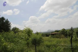 1-RAMNAGAR-VISIT_Photo_1021_IMG_4449_CMP_WM