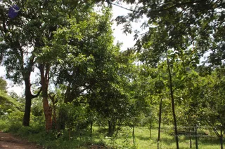 1-RAMNAGAR-VISIT_Photo_1022_IMG_4450_CMP_WM