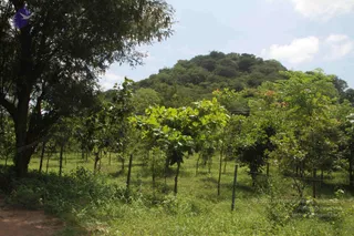 1-RAMNAGAR-VISIT_Photo_1023_IMG_4451_CMP_WM