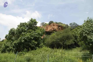 1-RAMNAGAR-VISIT_Photo_1028_IMG_4466_CMP_WM