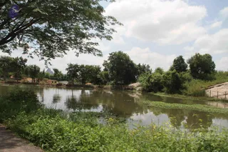 1-RAMNAGAR-VISIT_Photo_1033_IMG_4472_CMP_WM