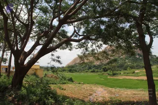 1-RAMNAGAR-VISIT_Photo_1035_IMG_4474_CMP_WM