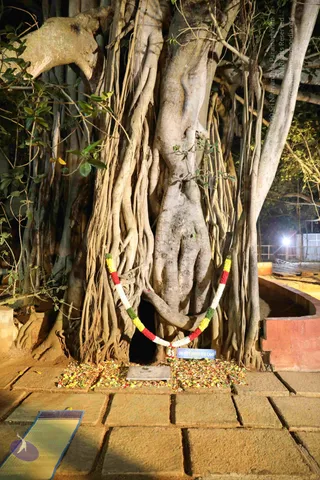 2018-12Dec-31-nithyananda-diary_bengaluru-aadheenam_uttamotama-seva_7T7A0812_CMP_WM